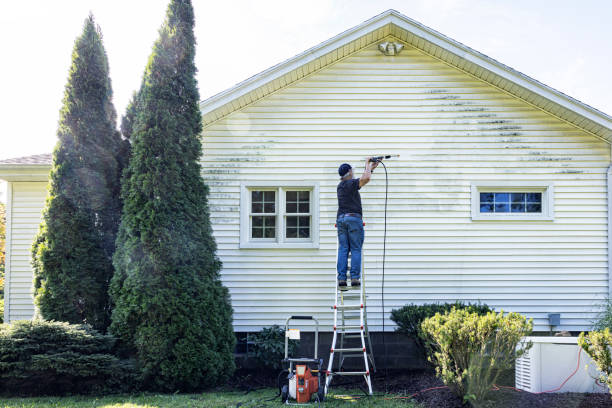 Best Dumpster Area Cleaning  in Brockport, NY